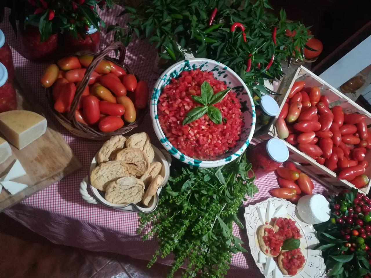 Agriturismo Torrevecchia San Pancrazio Salentino Εξωτερικό φωτογραφία