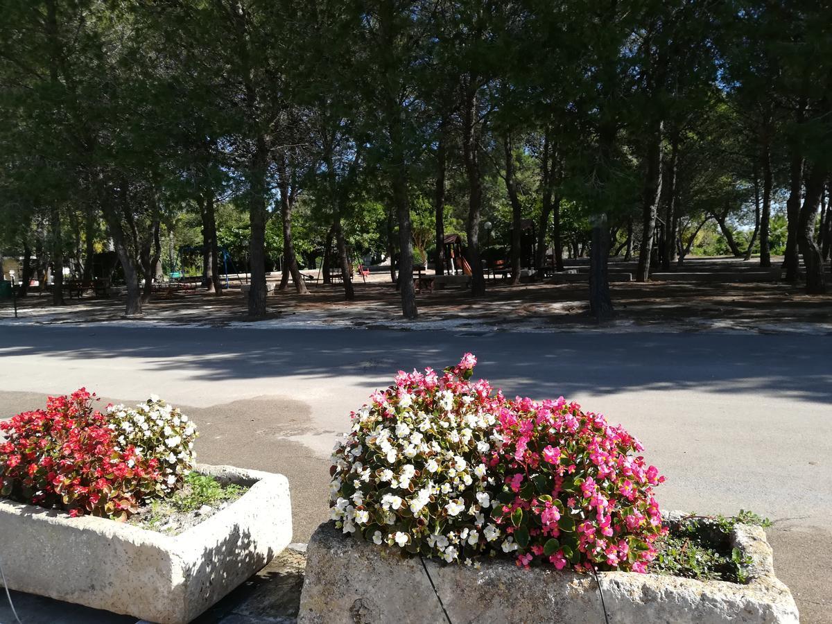 Agriturismo Torrevecchia San Pancrazio Salentino Εξωτερικό φωτογραφία