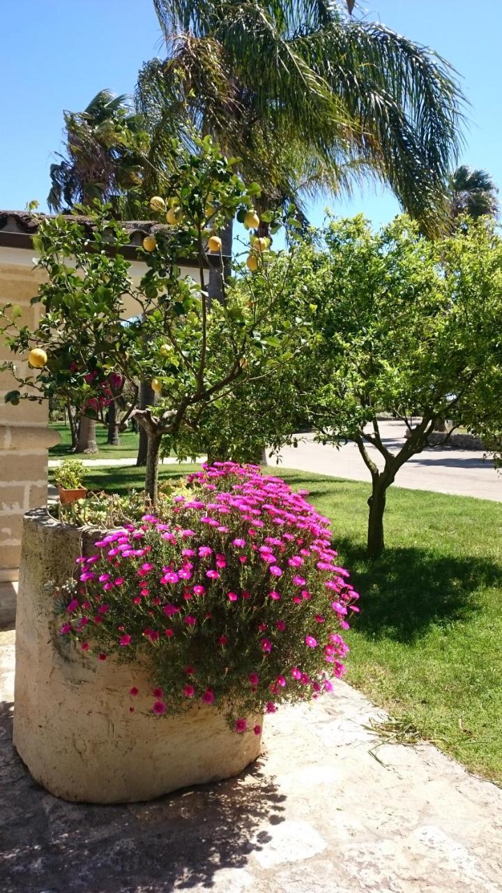 Agriturismo Torrevecchia San Pancrazio Salentino Εξωτερικό φωτογραφία